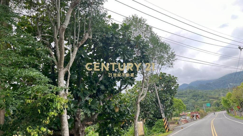 DC544礁溪大林尾段小農地