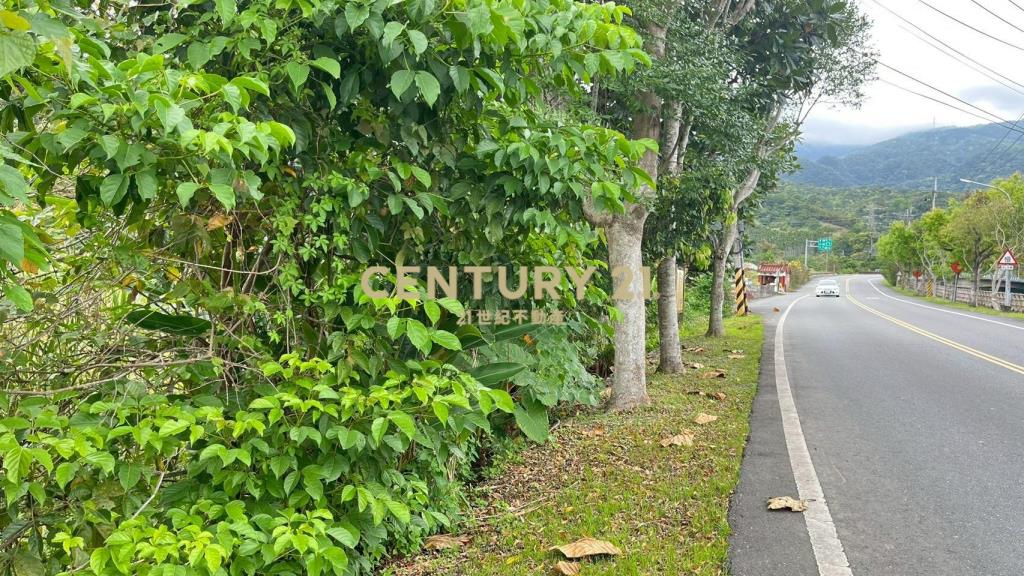 DC544礁溪大林尾段小農地