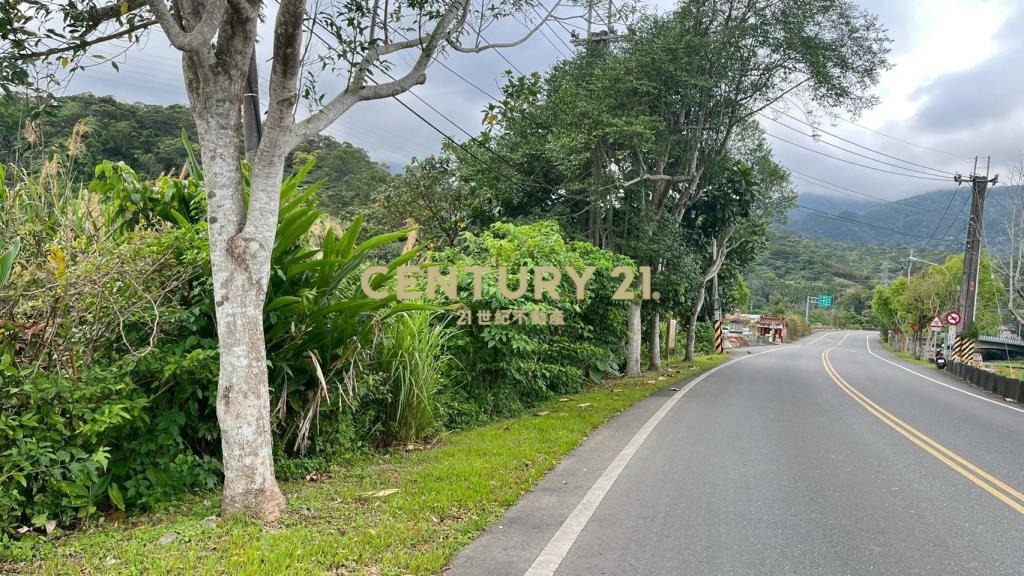 DC544礁溪大林尾段小農地