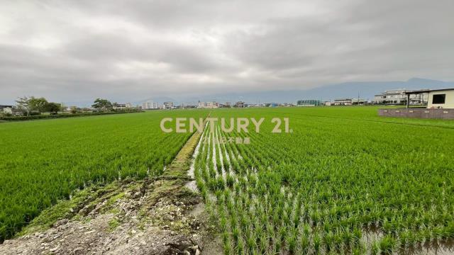 DC545礁溪玉田低總價美農地