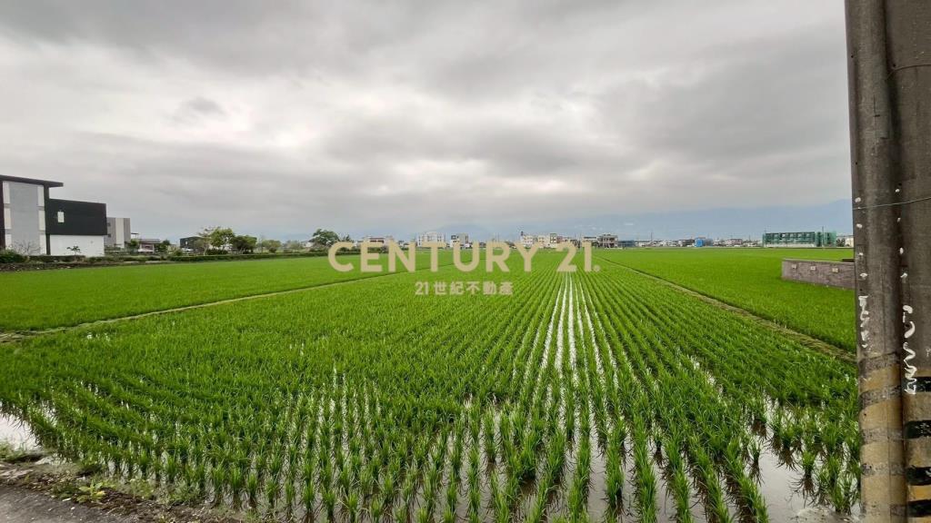 DC545礁溪玉田低總價美農地