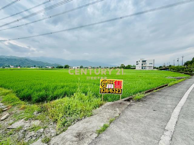 LC166美好時光美農地