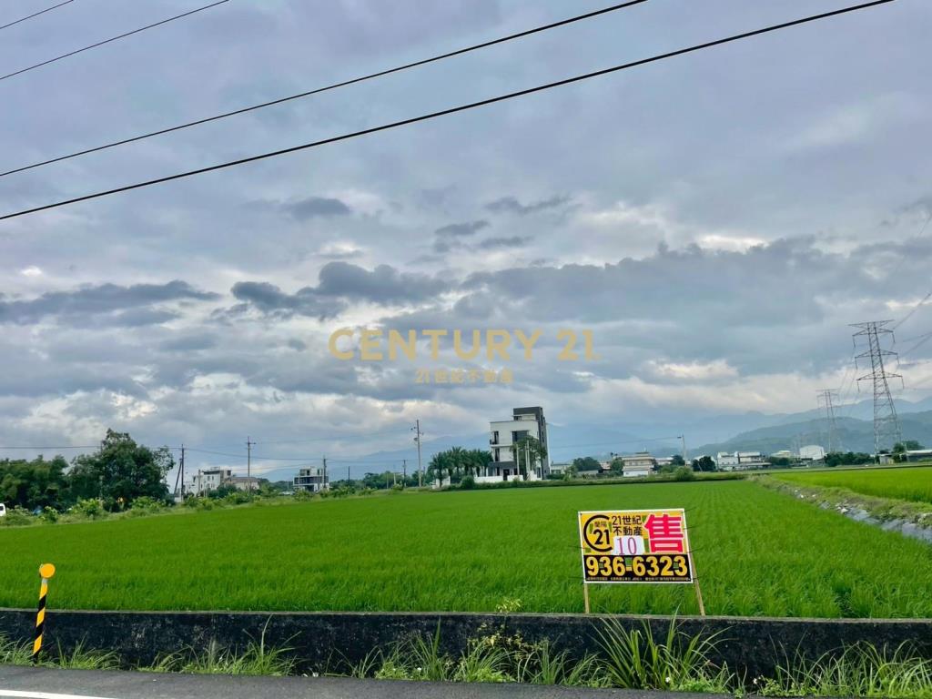 LC167三星新義富段足坪農地