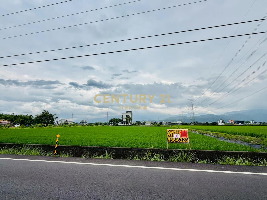 LC167三星新義富段足坪農地