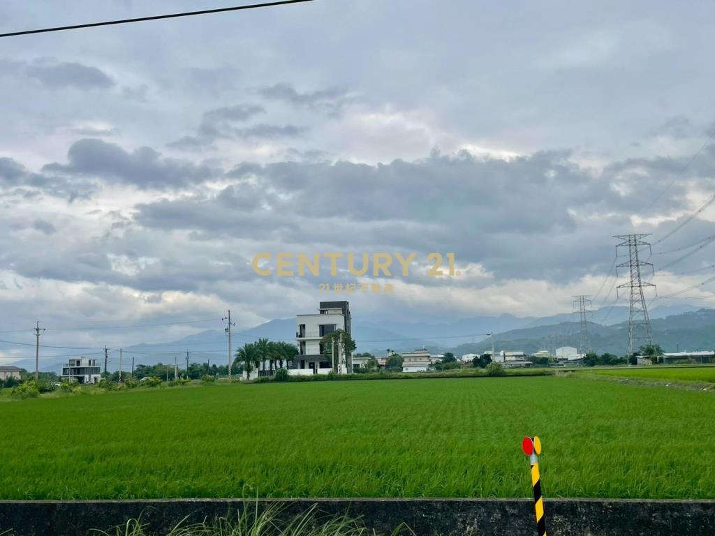 LC167三星新義富段足坪農地