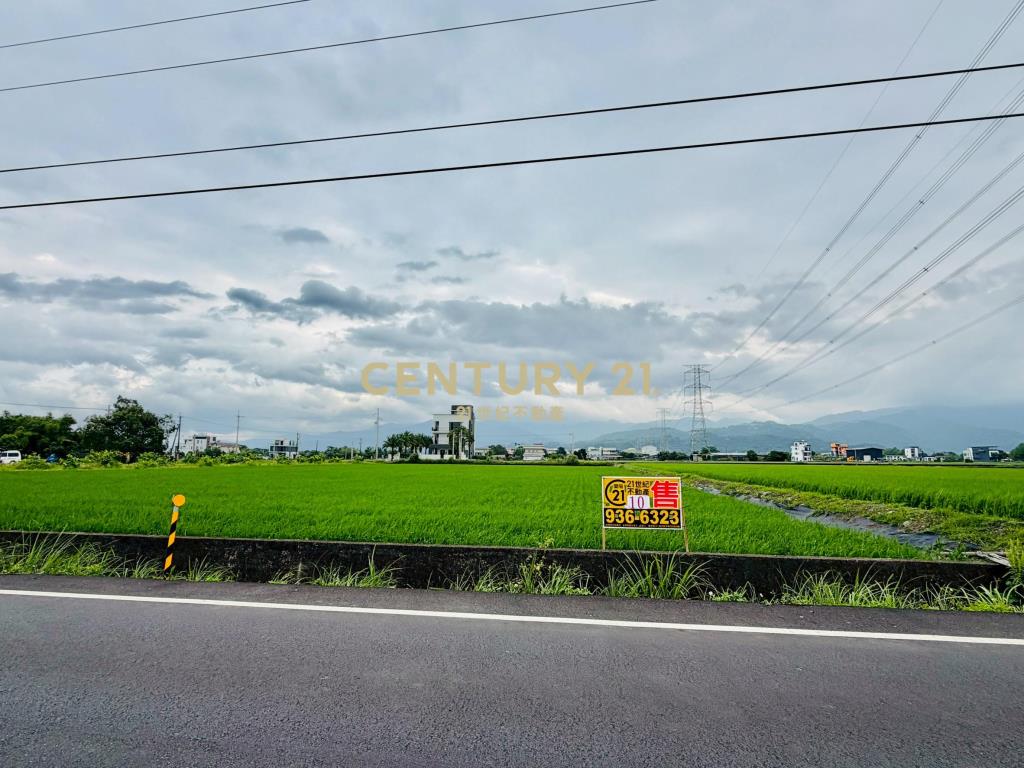 LC167三星新義富段足坪農地