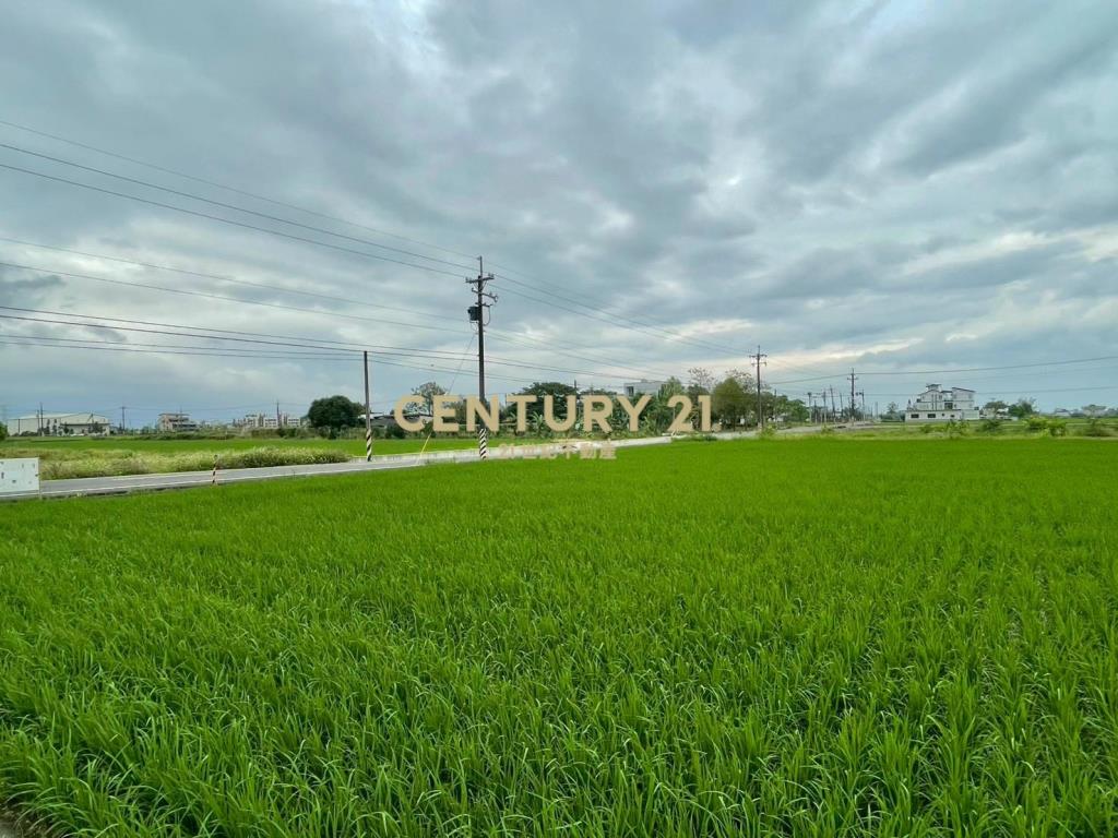 LC167三星新義富段足坪農地