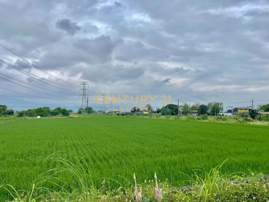 LC167三星新義富段足坪農地
