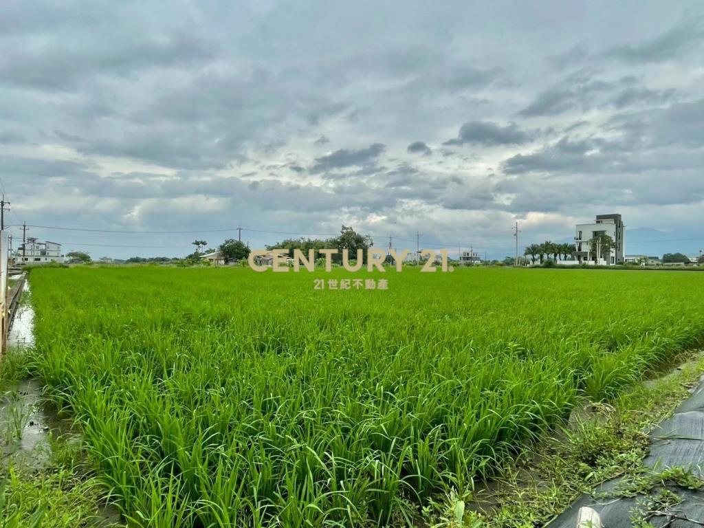 LC167三星新義富段足坪農地