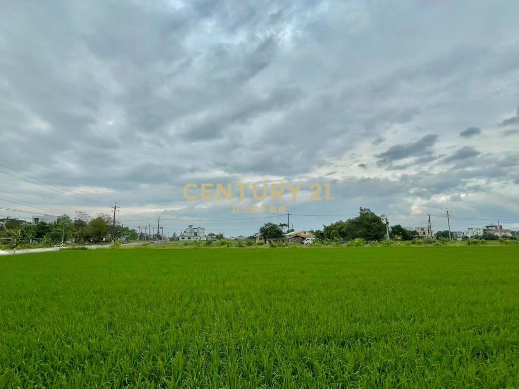 LC167三星新義富段足坪農地