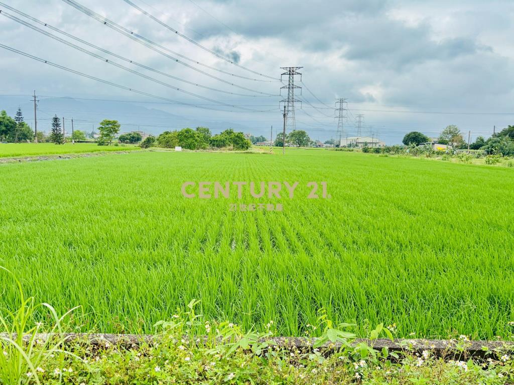 LC167三星新義富段足坪農地