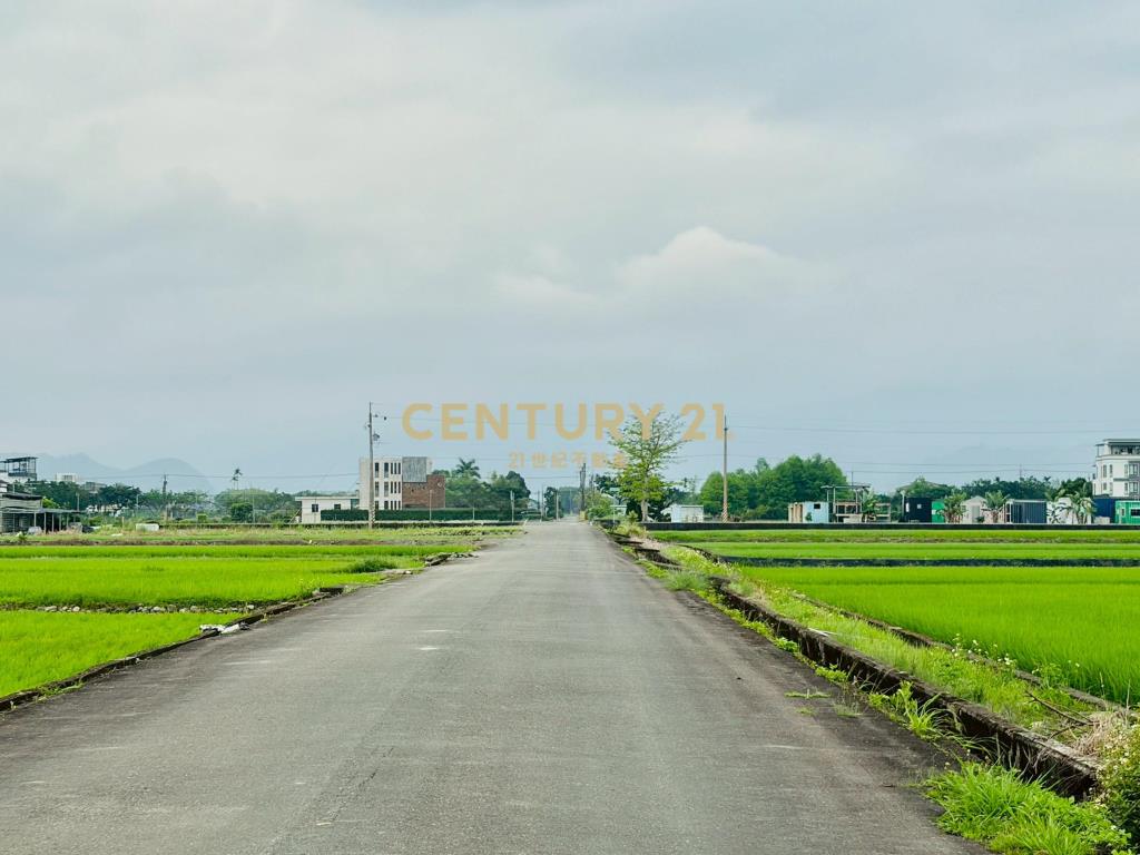 LC167三星新義富段足坪農地