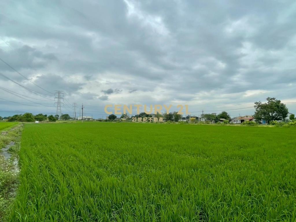 LC167三星新義富段足坪農地