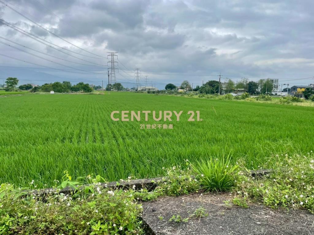 LC167三星新義富段足坪農地