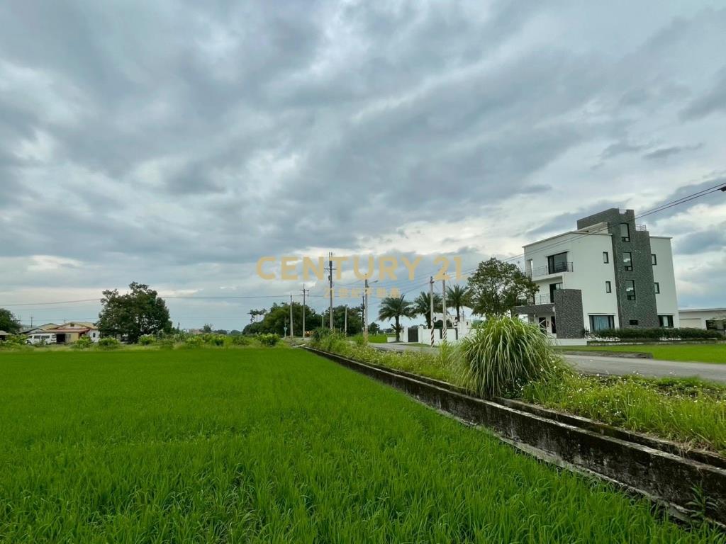 LC167三星新義富段足坪農地