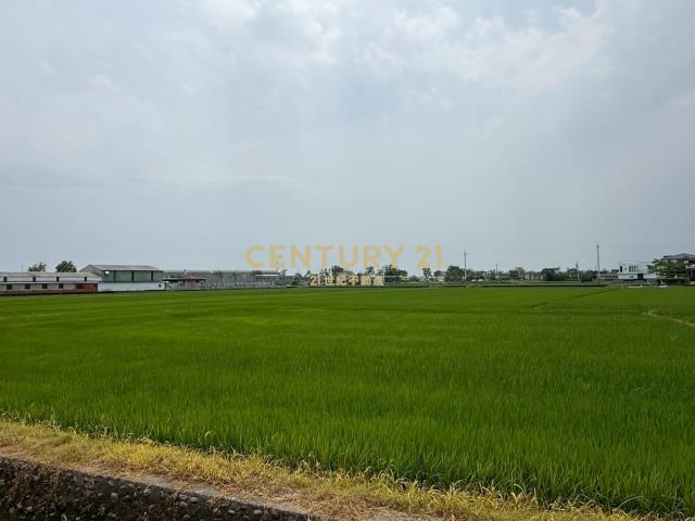 LC168近國五協民段大面寬農地