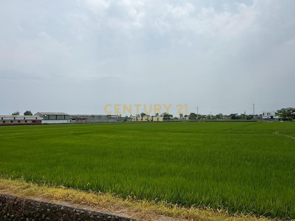 LC168近國五協民段大面寬農地