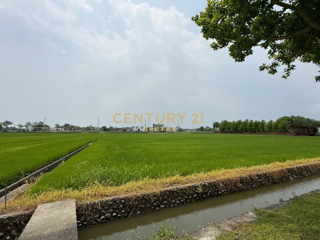 LC168近國五協民段大面寬農地