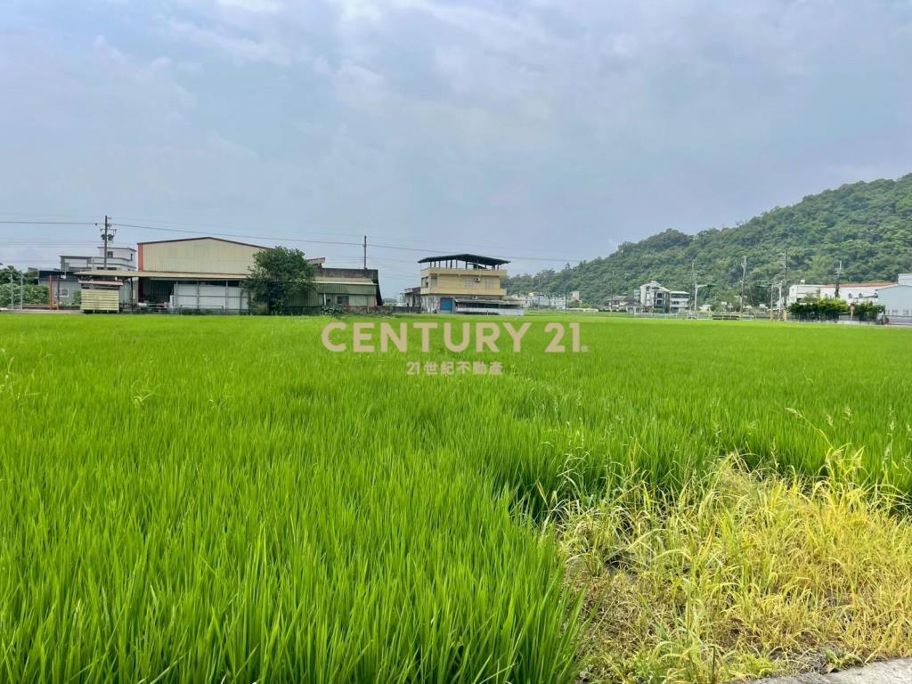 LE051白鵝近佛光投資資材室