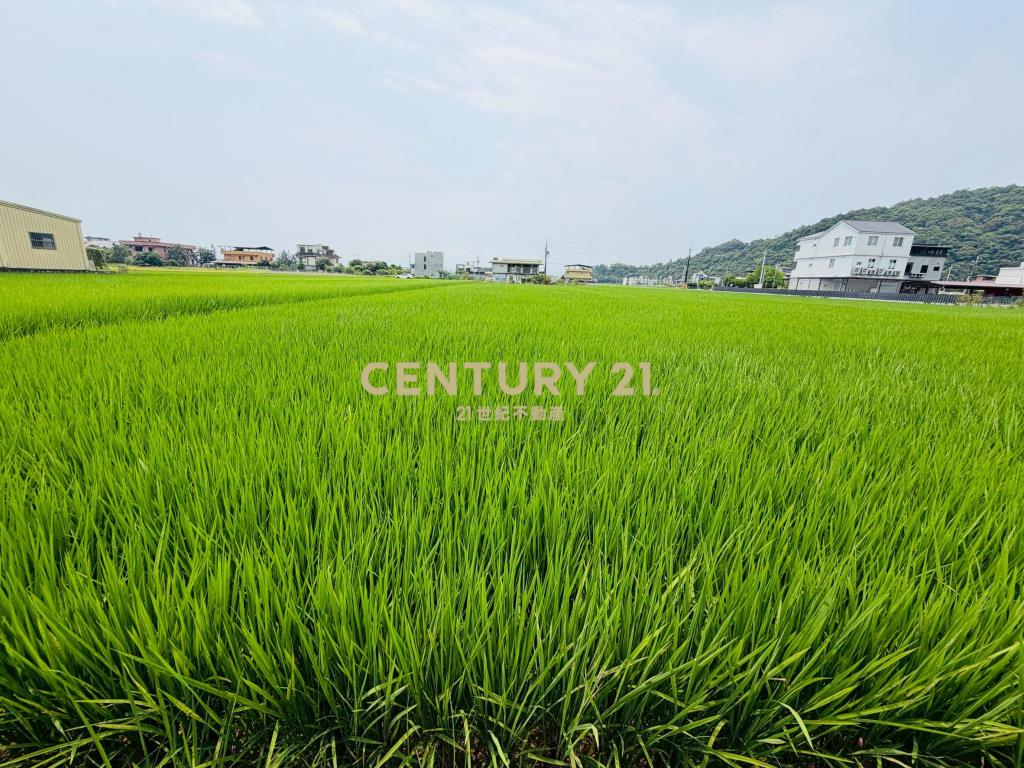 LE051白鵝近佛光投資資材室