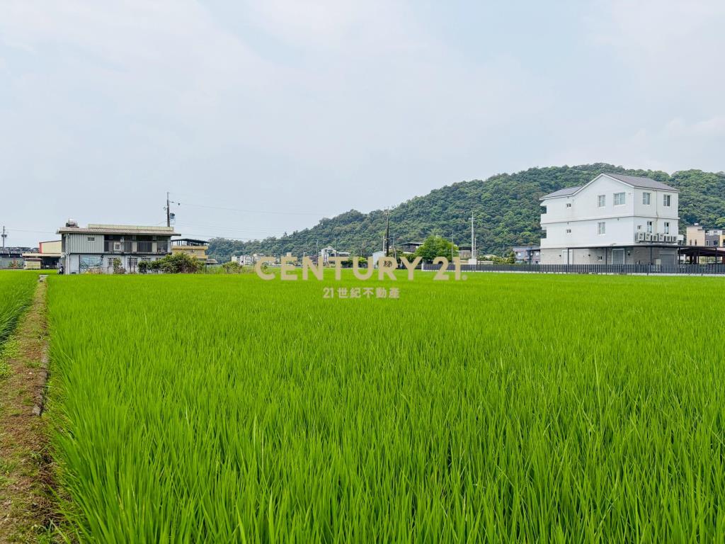 LE051白鵝近佛光投資資材室