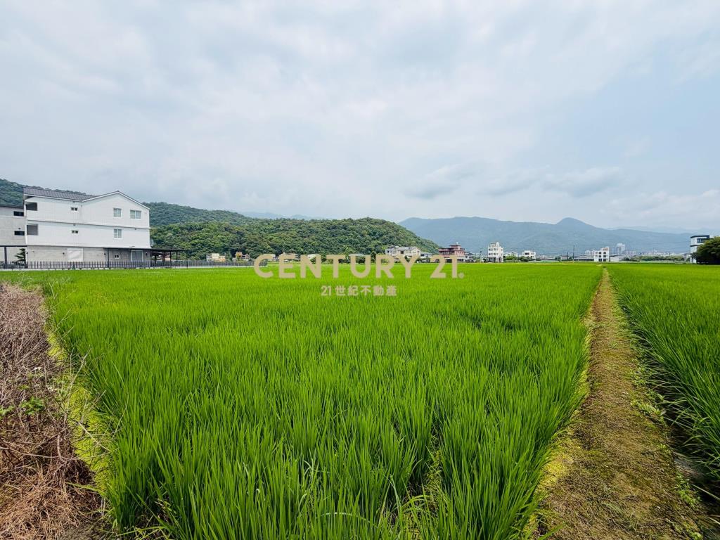 LE051白鵝近佛光投資資材室