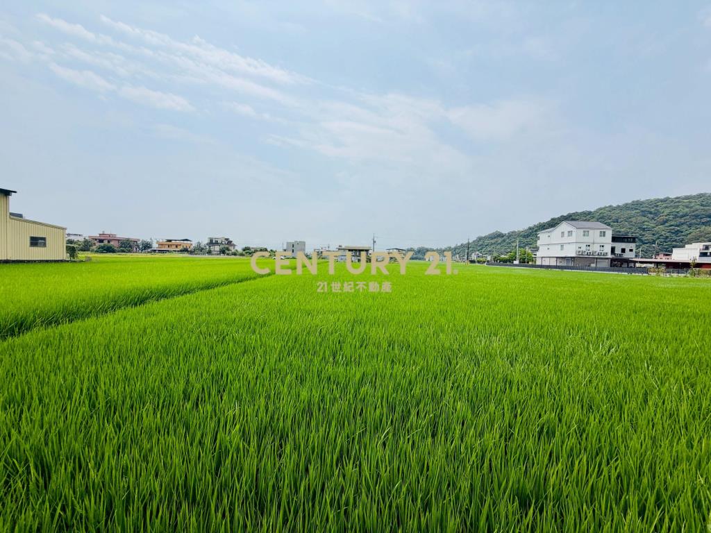 LE051白鵝近佛光投資資材室