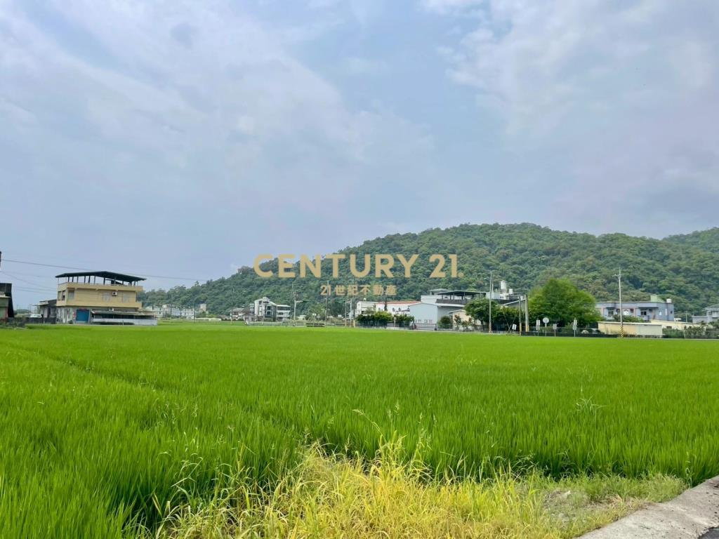 LE051白鵝近佛光投資資材室