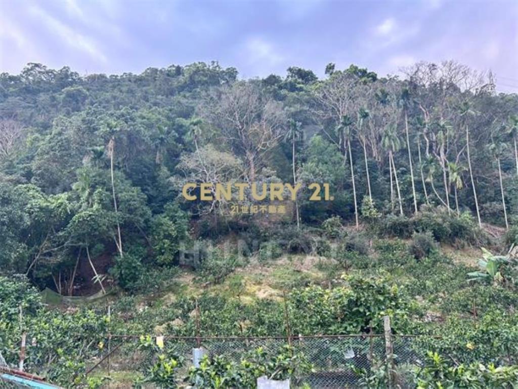 LC171員山望龍埤山坡地B