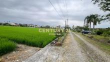 LC172宜市都外珍珠小農地