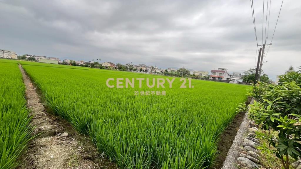 LC173宜市珍珠段田中央小農地(無臨路