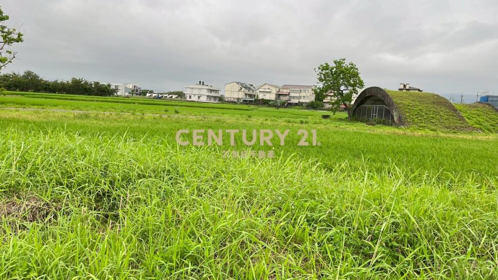 LC173宜市珍珠段田中央小農地(無臨路
