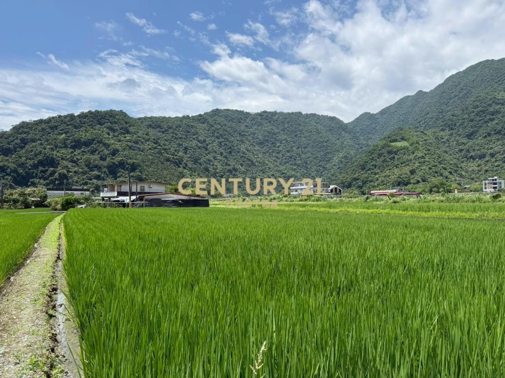 LC176大湖小工寮美農地