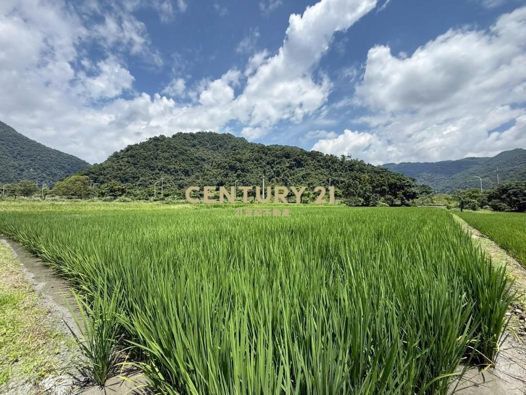 LC176大湖小工寮美農地