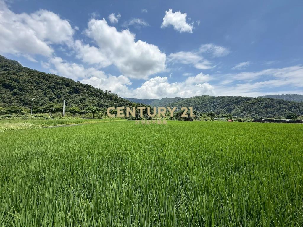LC176大湖小工寮美農地