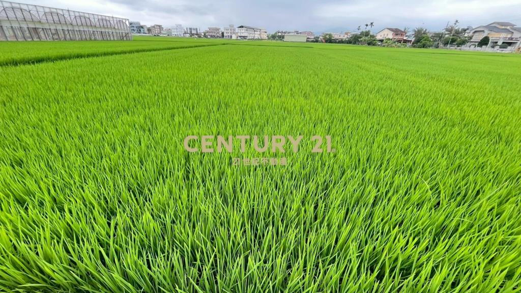 LC173宜市珍珠段田中央小農地(無臨路