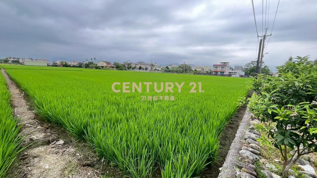 LC173宜市珍珠段田中央小農地(無臨路