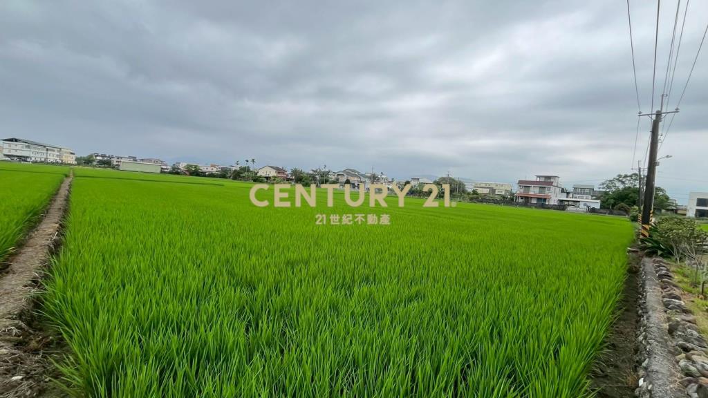 LC173宜市珍珠段田中央小農地(無臨路