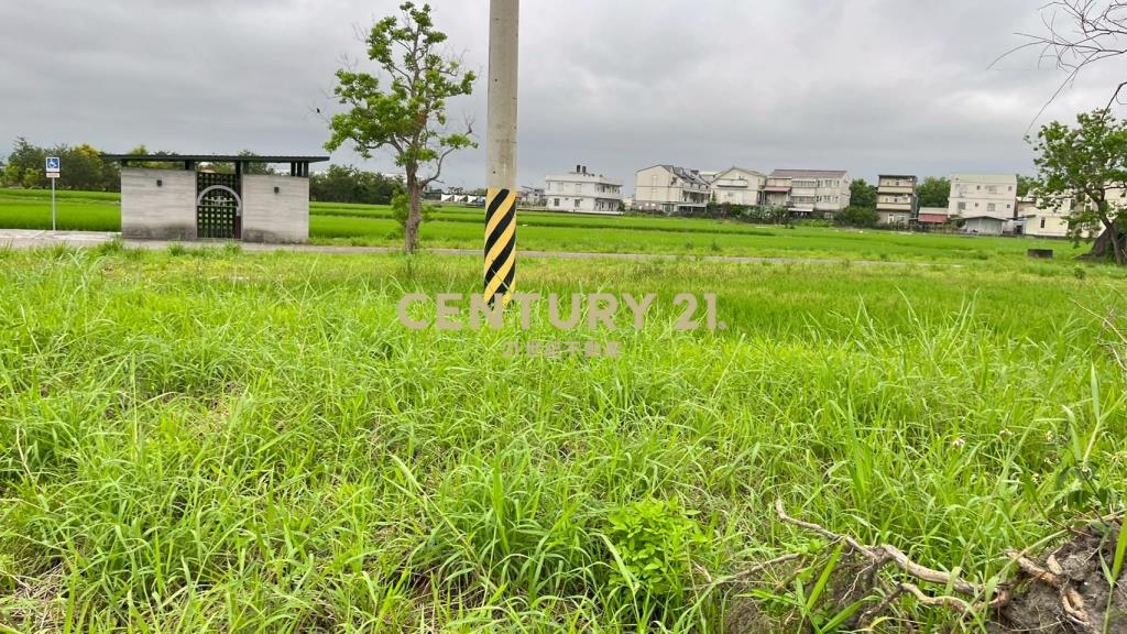 LC173宜市珍珠段田中央小農地(無臨路
