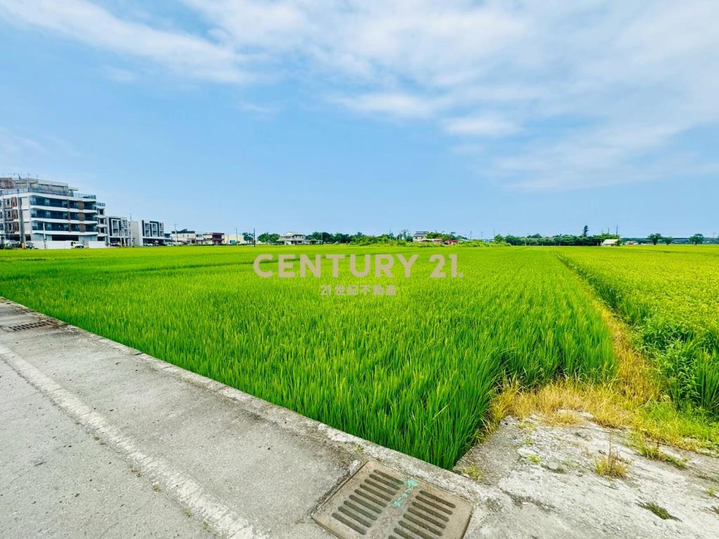 LC177宜市凱旋二段潛力農地