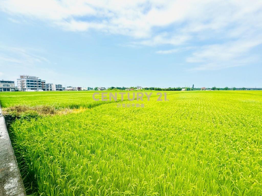 LC177宜市凱旋二段潛力農地