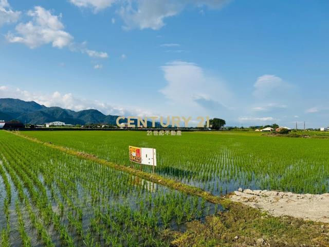 LC120三星頂二萬五足坪農地(A)