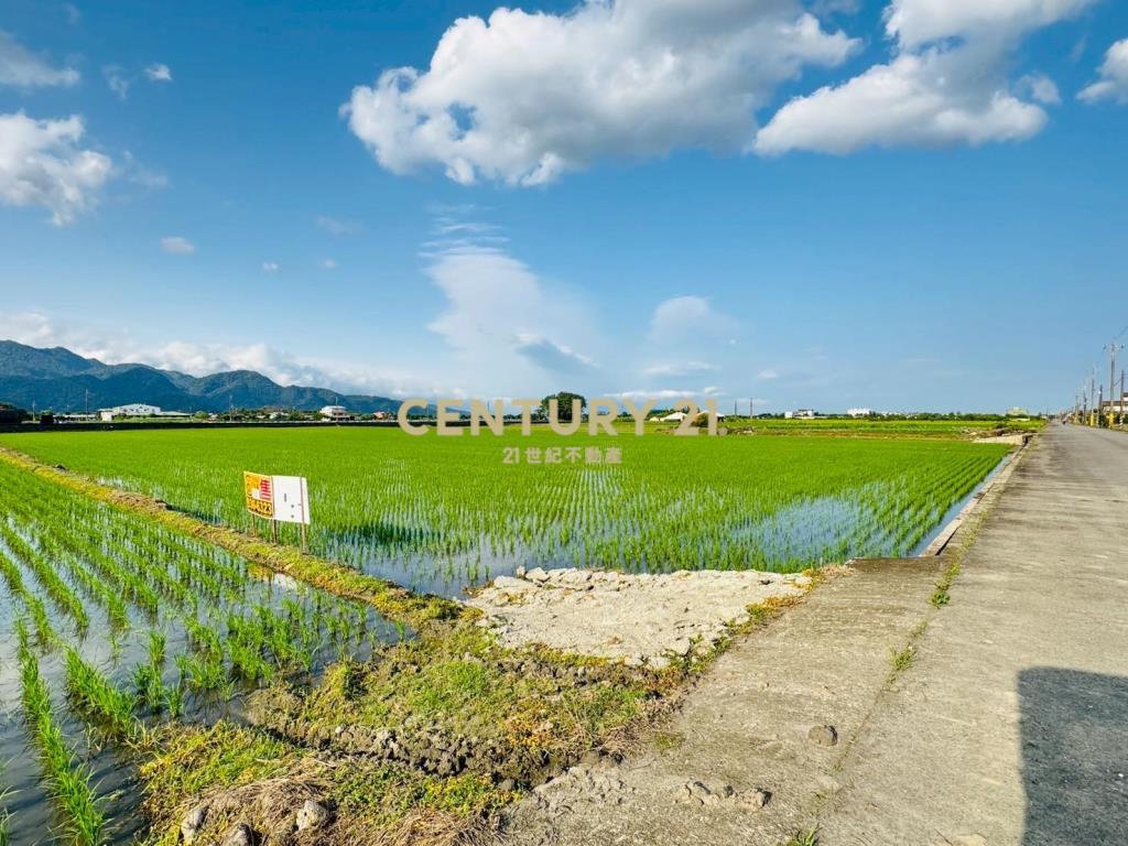 LC120三星頂二萬五足坪農地(A)