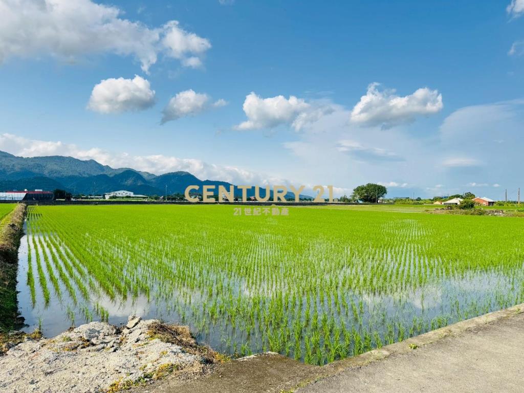LC120三星頂二萬五足坪農地(A)