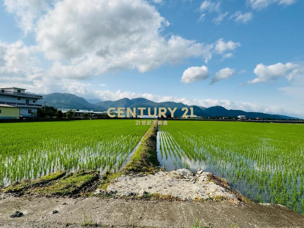 LC120三星頂二萬五足坪農地(A)