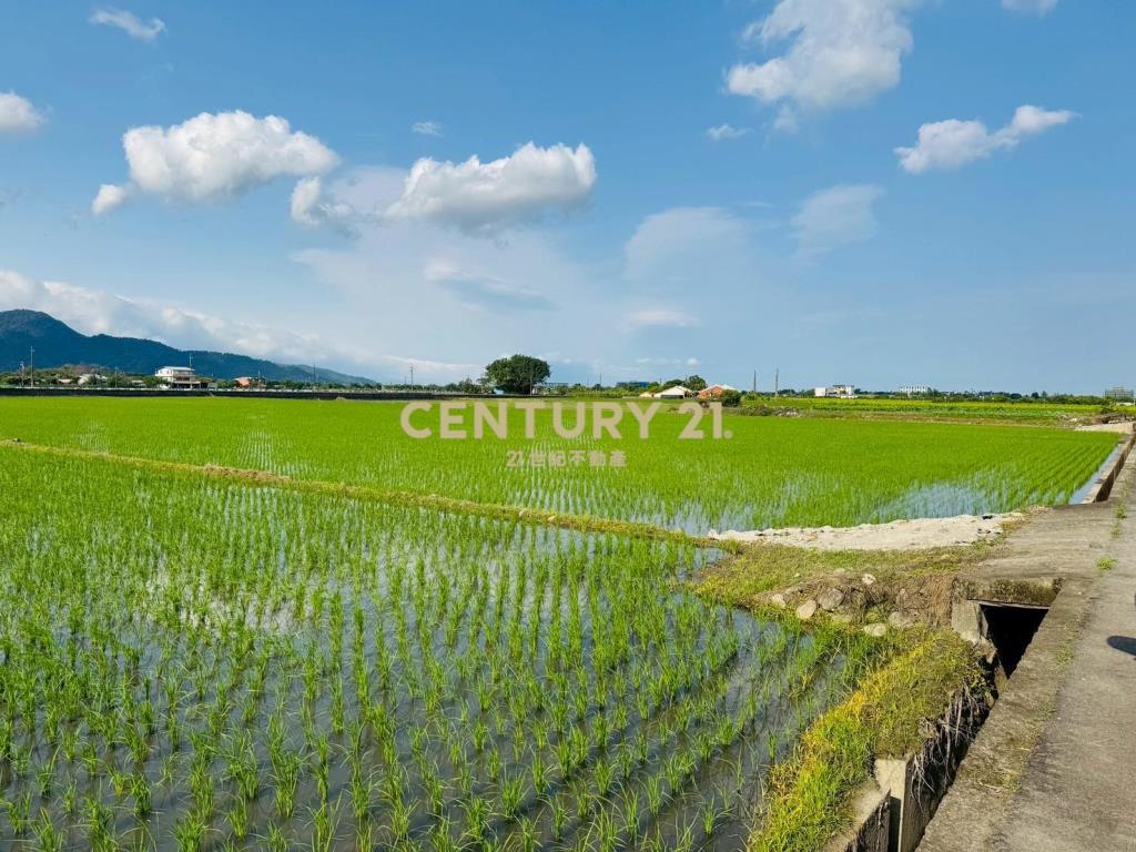 LC121三星頂二萬五足坪農地(B)