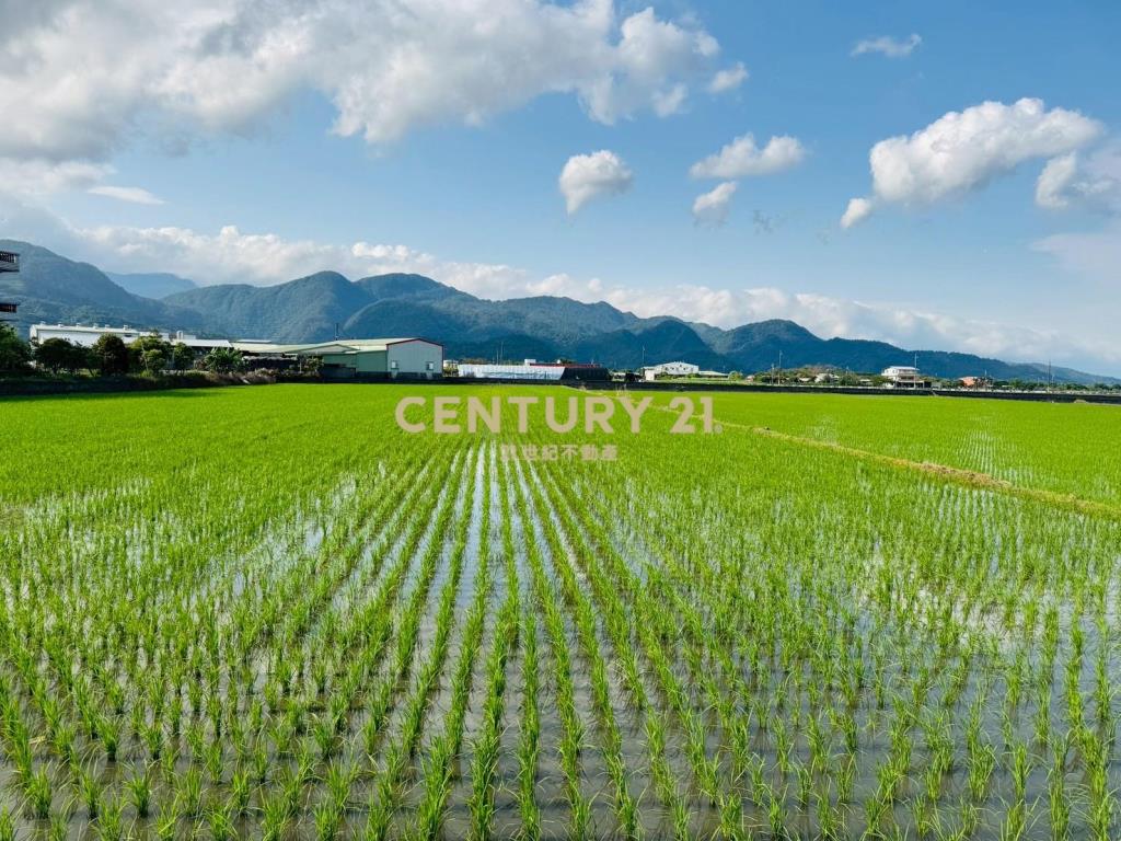 LC121三星頂二萬五足坪農地(B)