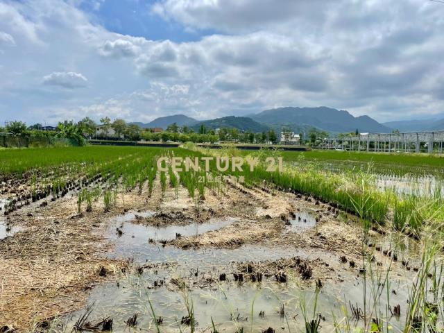 LC182員山東德雙面路農地