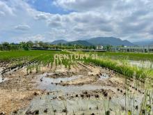 LC182員山東德雙面路農地