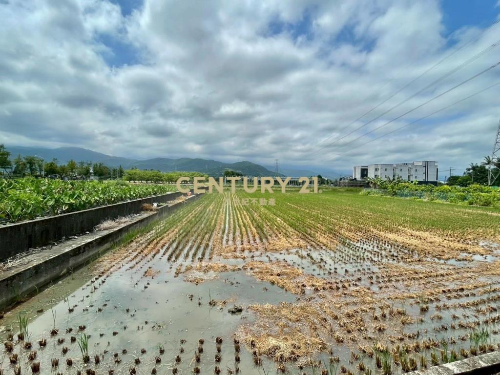 LC182員山東德雙面路農地